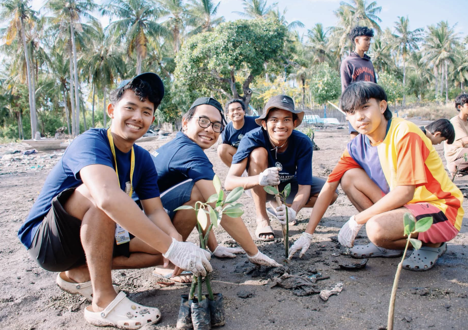 Penanaman Mangrove